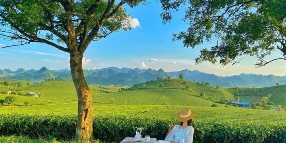 Checkin mộc châu