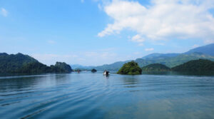 Thung nai