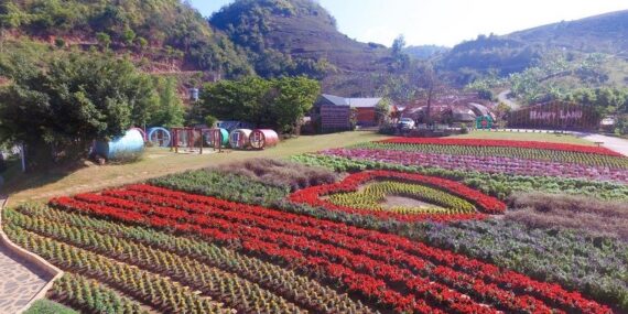 Vườn hoa nhiệt đới