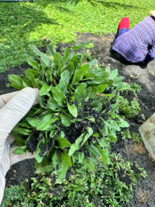 Z7176194584855 e943e3d5ce9672f70bf1e9042d22a502