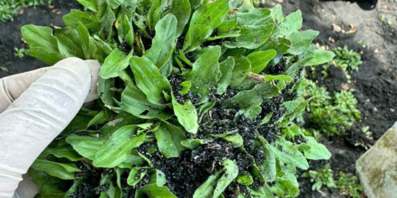 Z7176194584855 e943e3d5ce9672f70bf1e9042d22a502