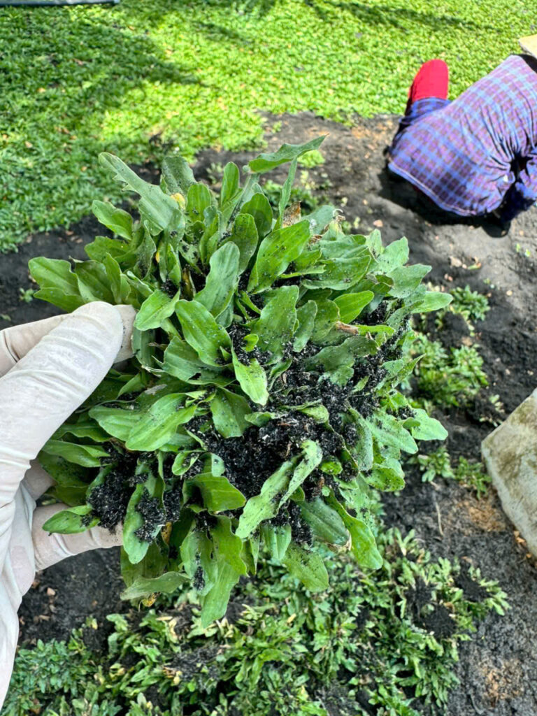 Z7176194584855 e943e3d5ce9672f70bf1e9042d22a502