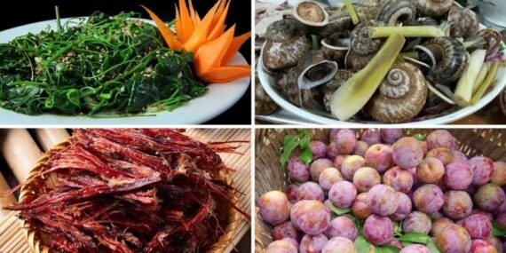 Món ăn mộc châu