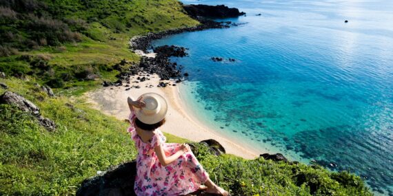 21731885271 1679385372506