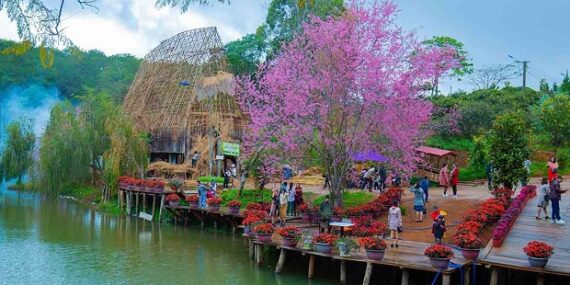 Kinh nghiem du lich mang den 1