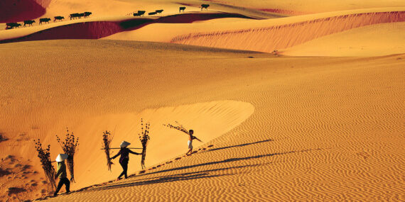Du lich phan thiet ivivu1